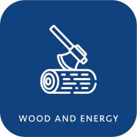 Applications Wood and Energy