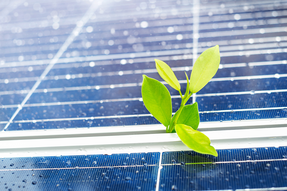 sustainability2